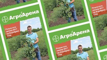 АА Схід