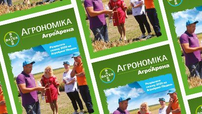 АА Південь