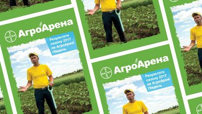 АА Південь