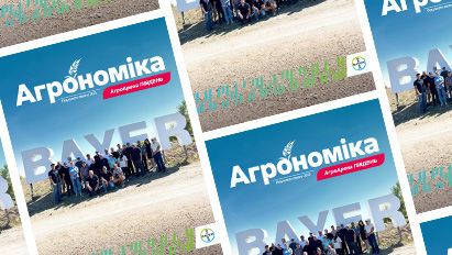 АА Південь