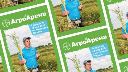 АА Південь